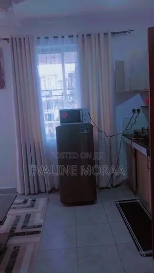 Furnished 1bdrm BNB Apartment in Mwembeni, Mtambo for Rent
