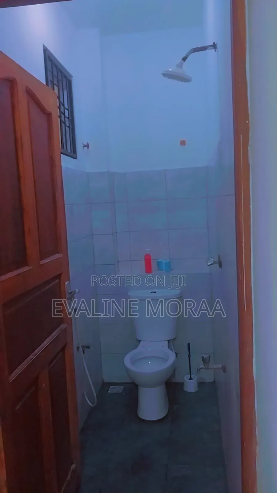 Furnished 1bdrm BNB Apartment in Mwembeni, Mtambo for Rent