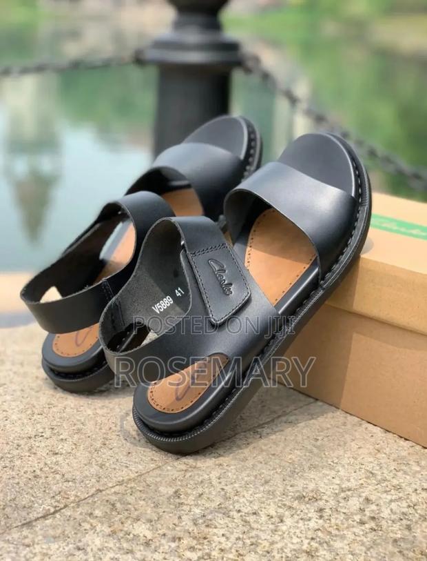 Clarks Pure Leather Shoes
