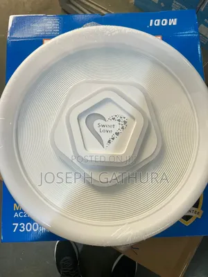 Ceiling Light