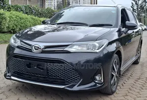 Toyota Corolla Fielder 2019 Black