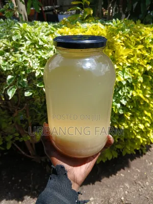 Water Kefir Grains