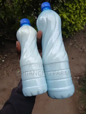 Milk Kefir Grains Available