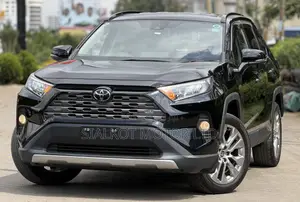 Toyota RAV4 LE AWD 2019 Black