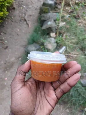 Loquats Jam