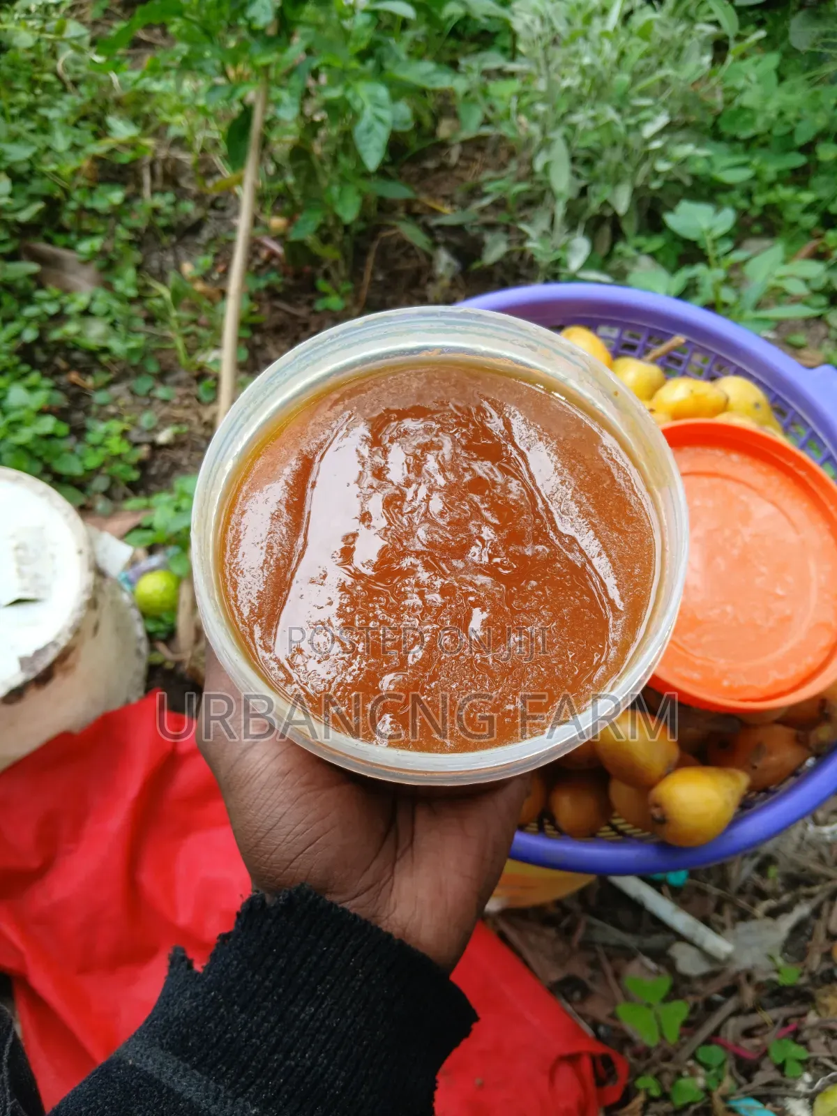 Loquats Jam