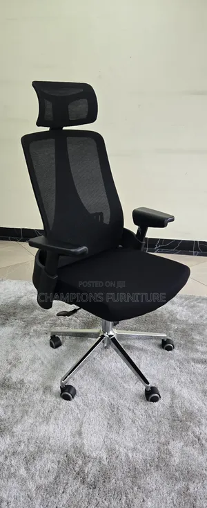 Ergonomic Office Chair