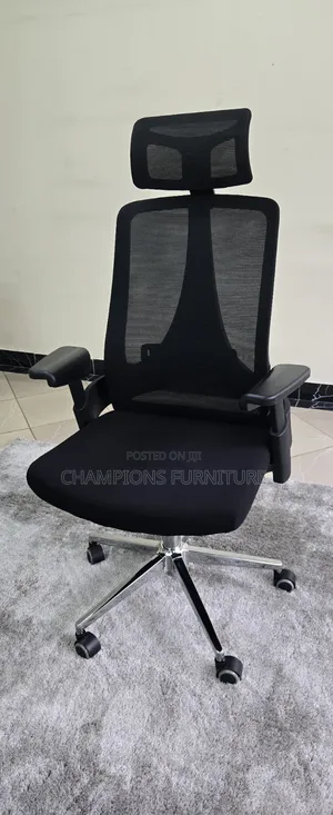 Ergonomic Office Chair