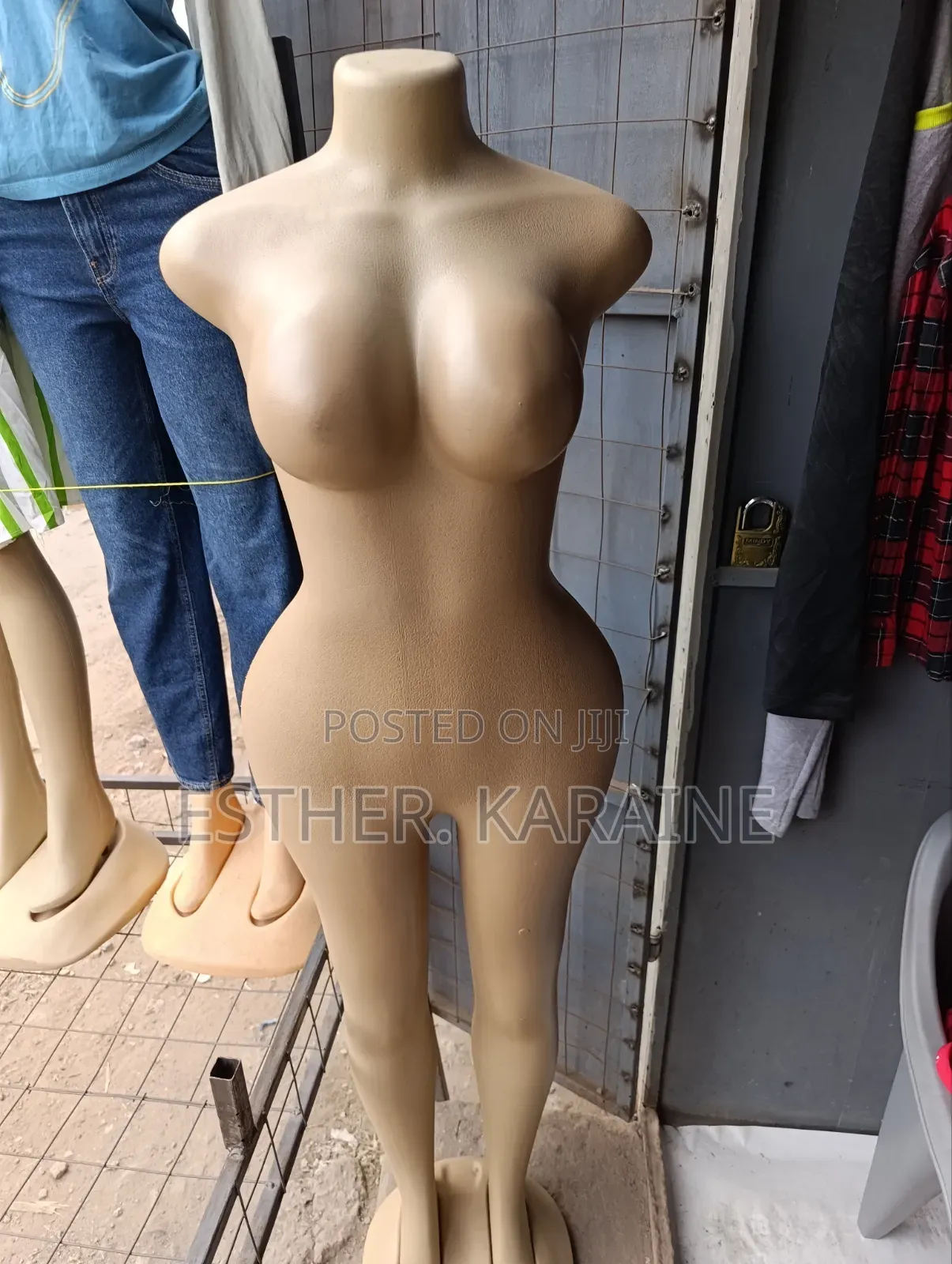 Ladies Dummy Size 12
