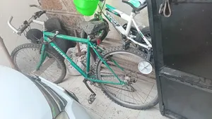 Ravena Mountain Bike