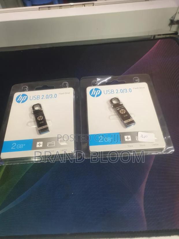 Hp 2gb Flash Drives