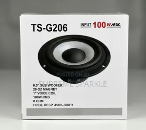 Ts-G206 6.5" 100w Subwoofer Speaker.