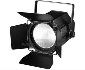 Concerts Festivals Cob Led Par Lights