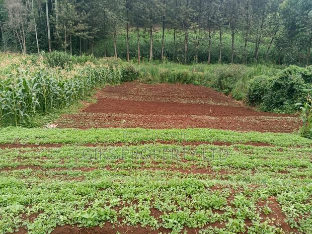 Plot for Sale