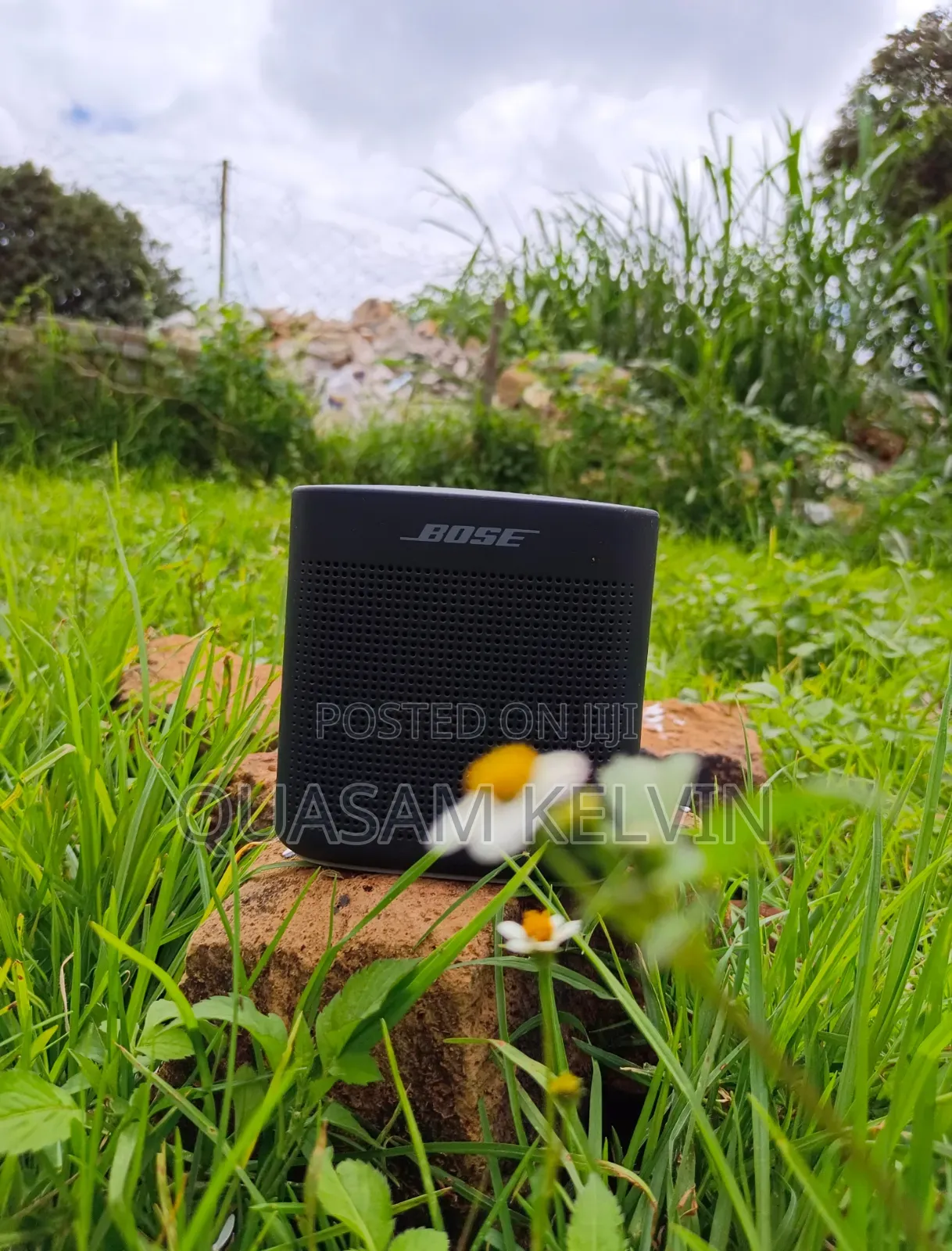 Bose Soundlink Color Ii