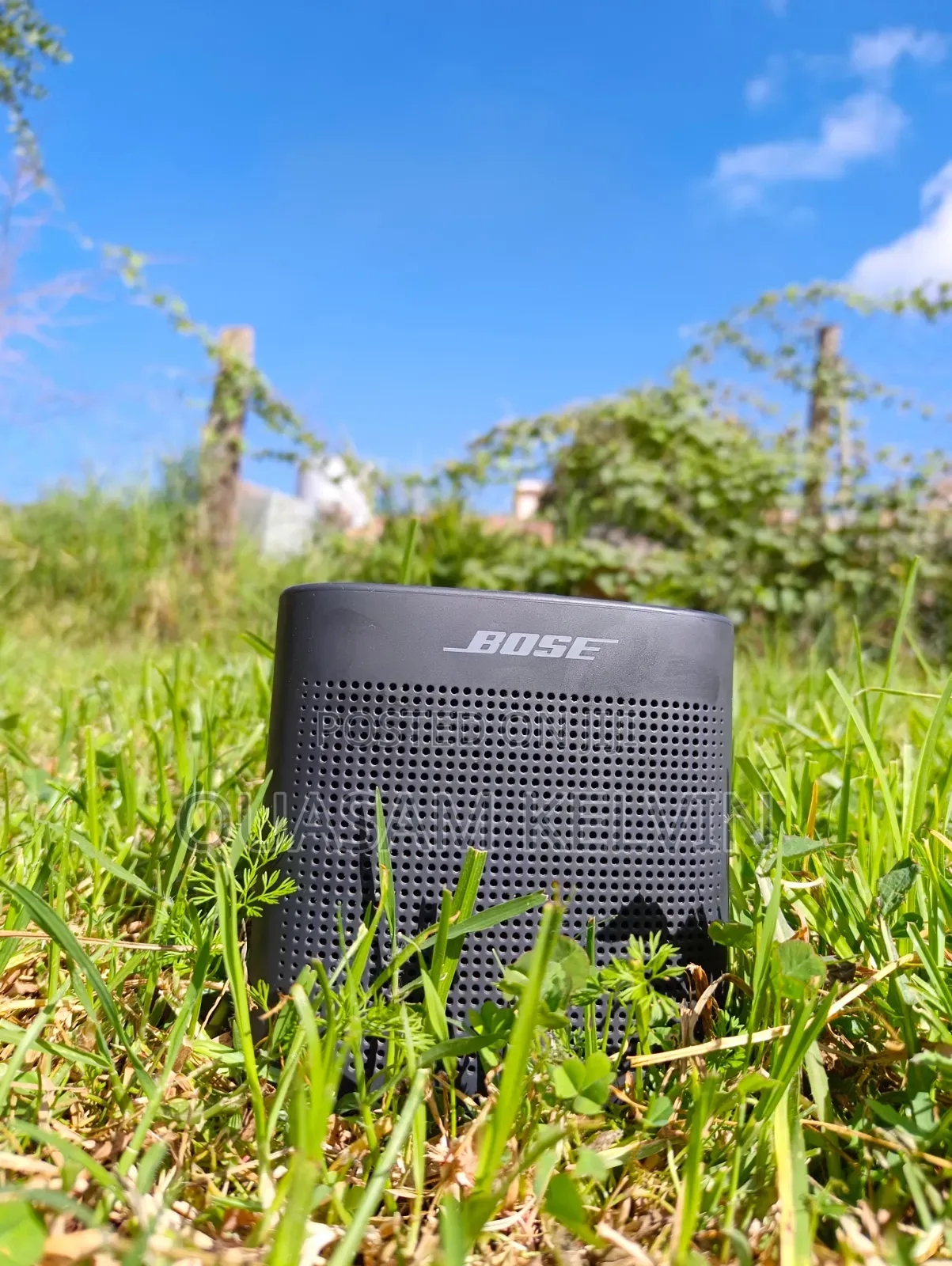 Bose Soundlink Color Ii