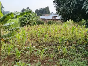 Plot for Sale