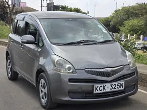 Toyota Ractis 2009 Gray