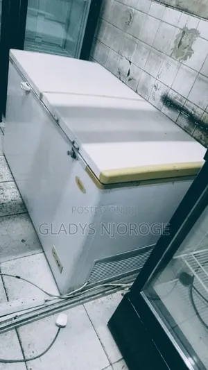 Ramdons Freezer 450l
