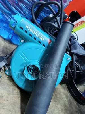 Professional Dust Blower