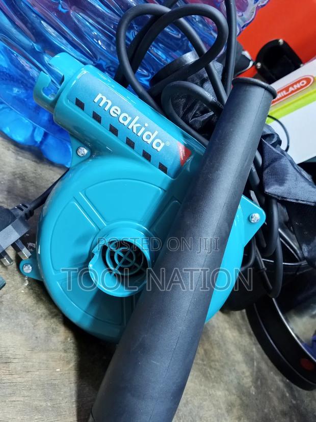 Professional Dust Blower