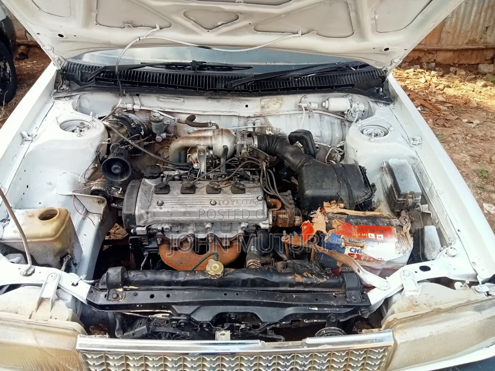 Toyota Corolla 1998 White