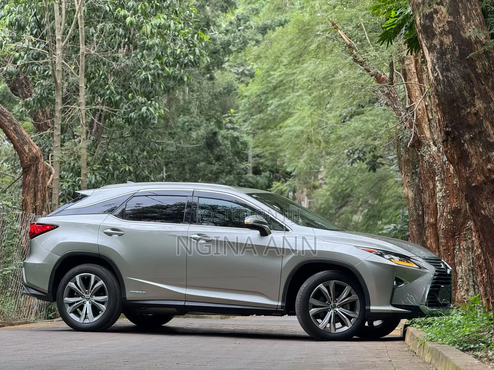Lexus RX 2019 Silver