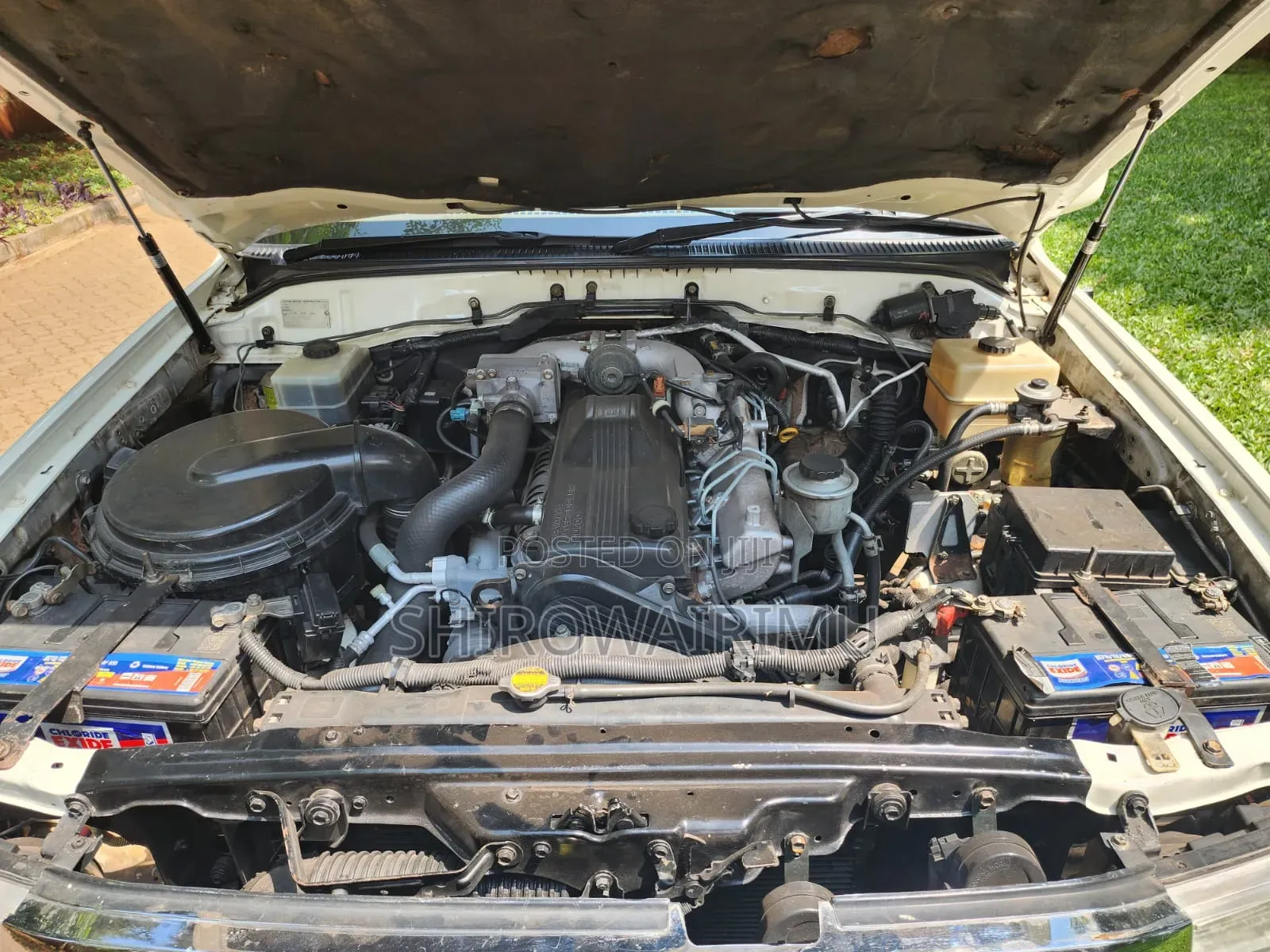 Toyota Land Cruiser 1999 Pearl