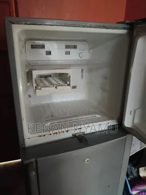 Samsung Fridge