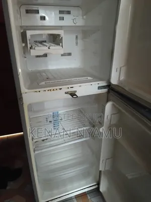 Samsung Fridge