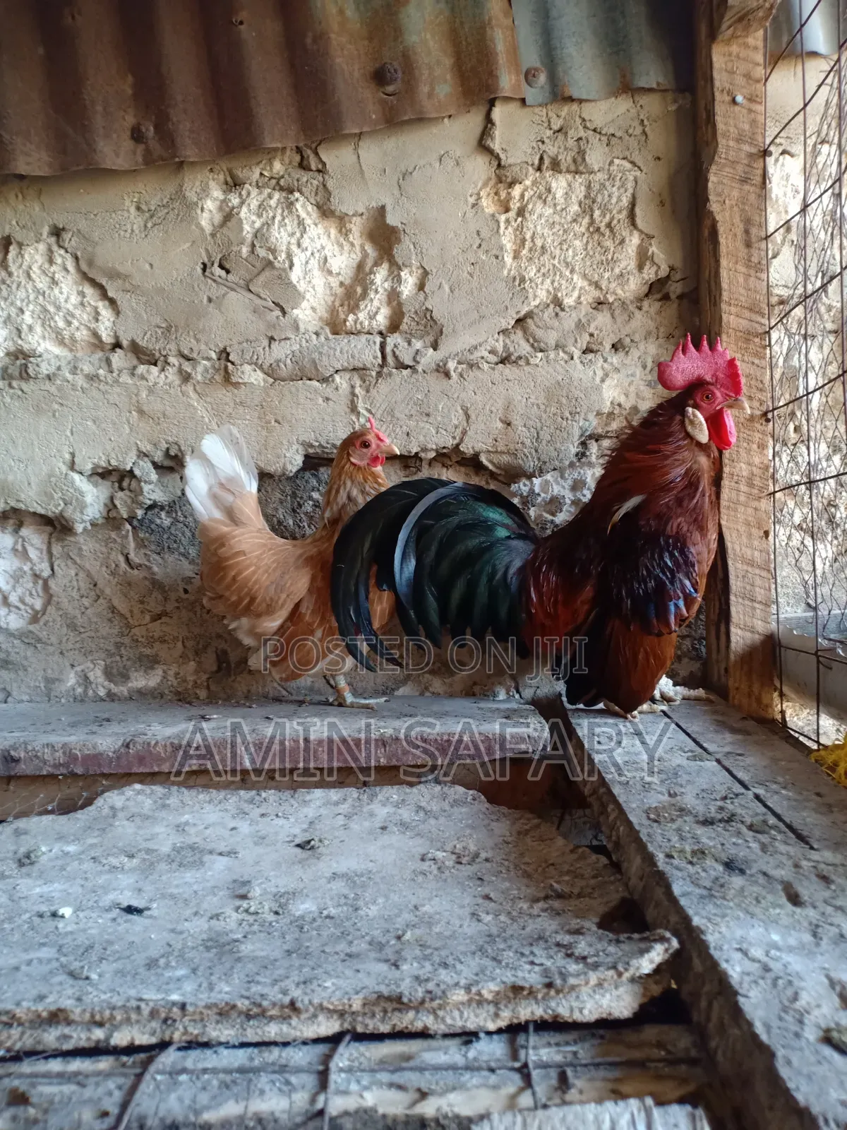 Serema Chicken