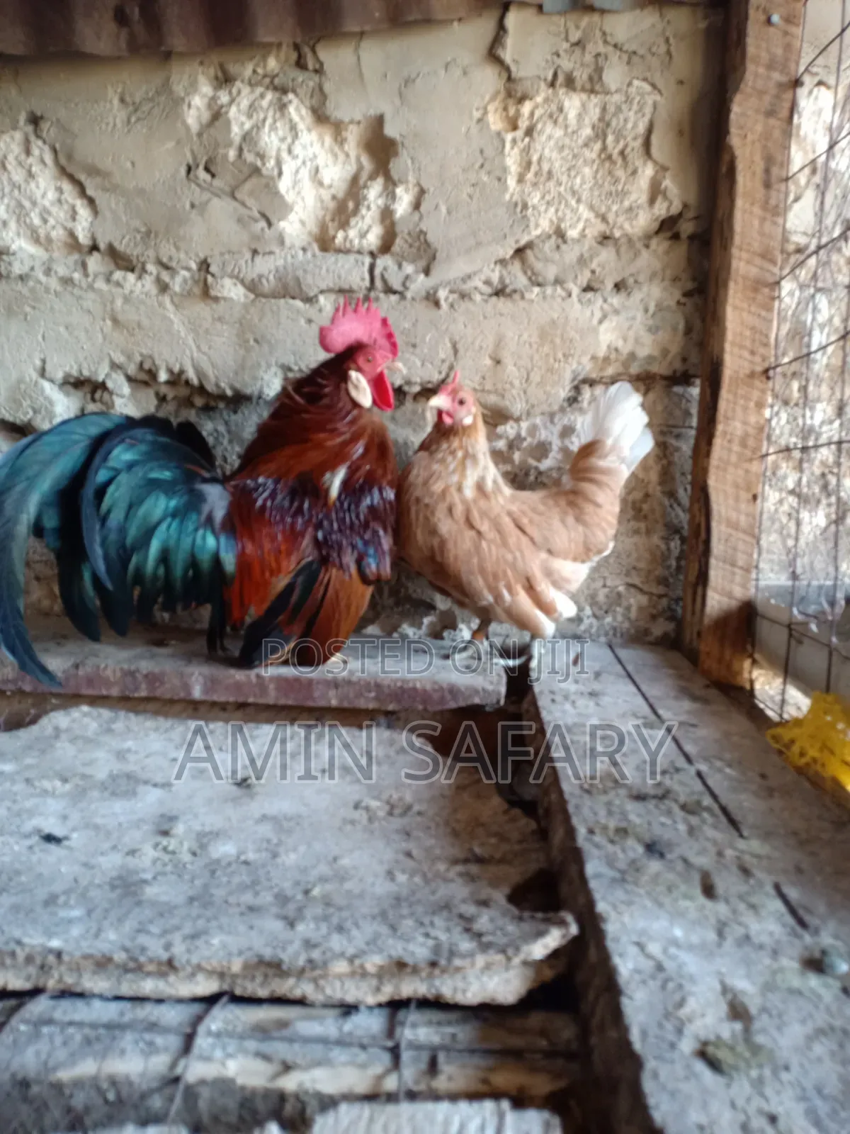 Serema Chicken