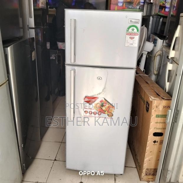 Ramptoms 2 Door Fridge