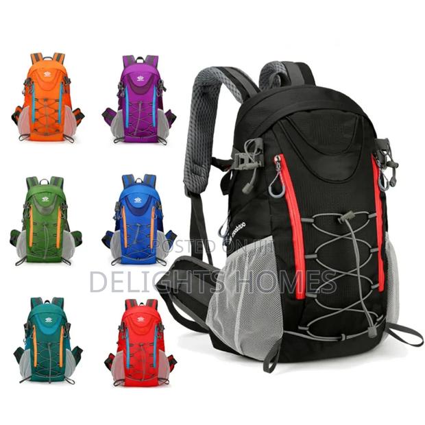 Outdoor 40 Ltrs Hiking Bag_sha - thumbnail 2