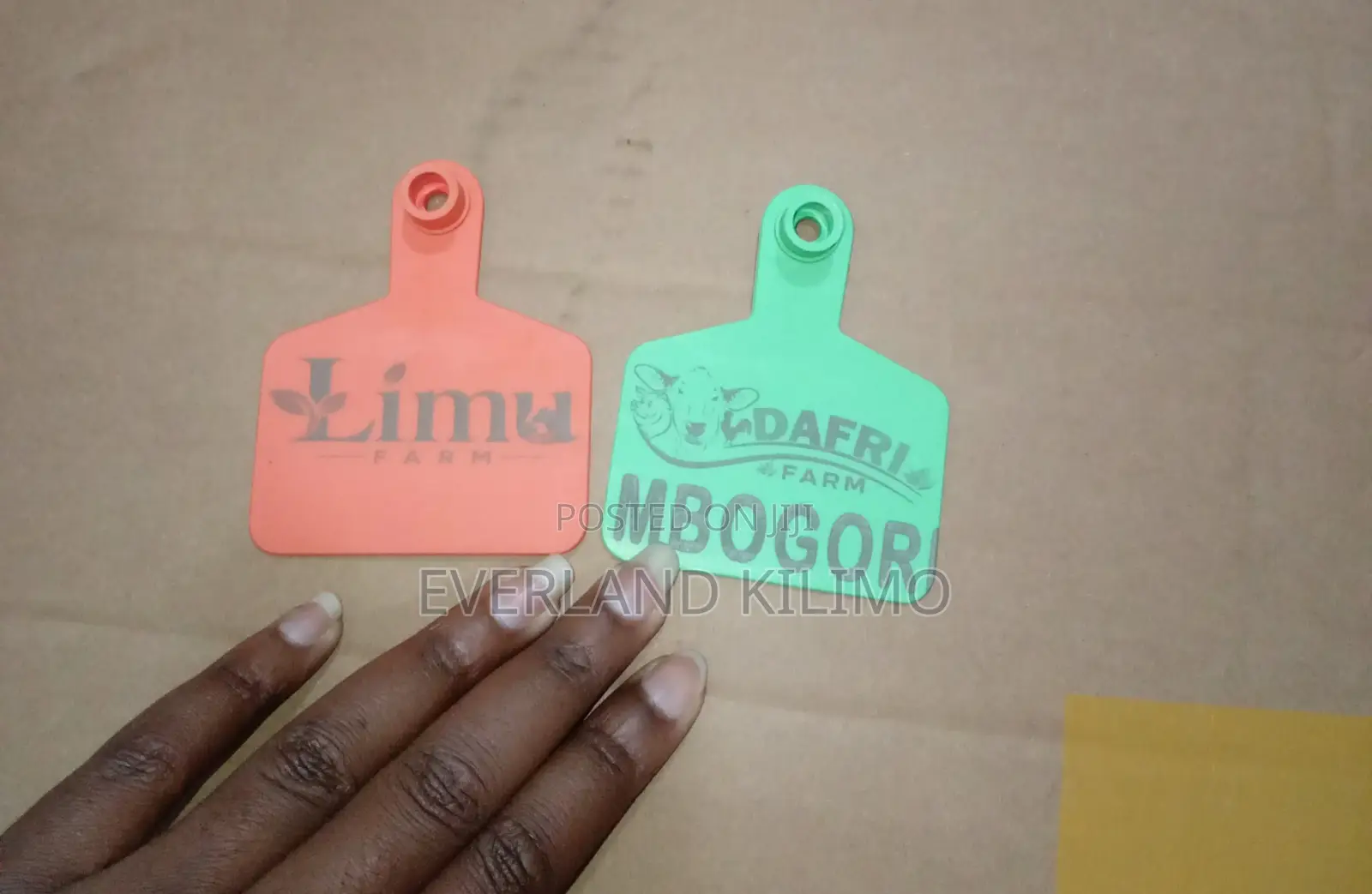Custom Cattle Ear Tag,Personalized - Each