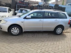 Toyota Corolla Fielder 2005 Silver