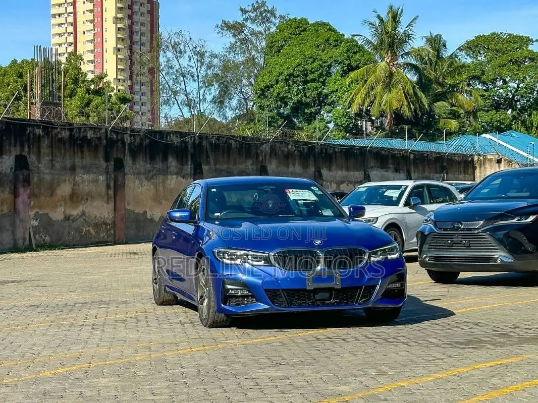 BMW 320i Sedan RWD 2019 Blue