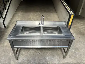 Double Bowl Sink