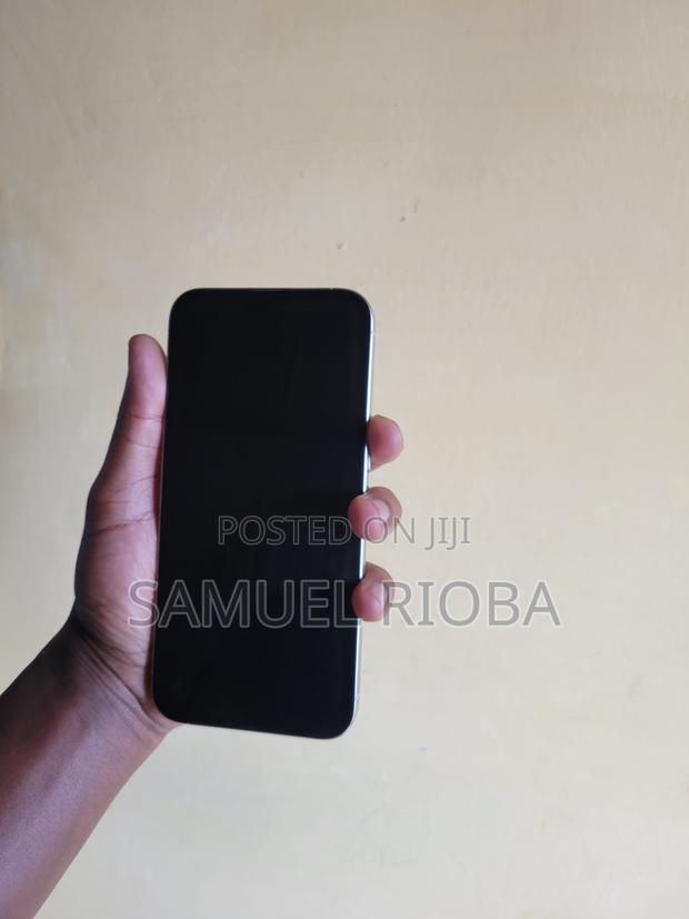 Apple iPhone 15 Pro Max 256 GB White - thumbnail 4