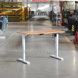 Electric Sit-Stand Desk