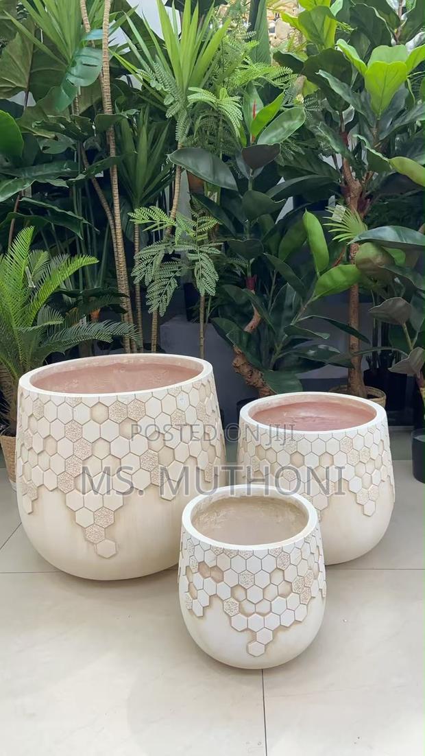 Luxury Concrete Planters - main view