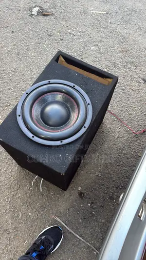 12 Inch Zemin 1,000w RMS Subwoofer