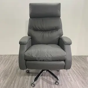 Director's Office Seat