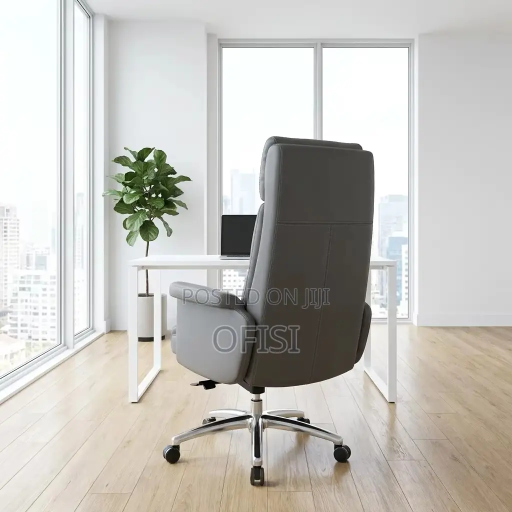 Director's Office Seat