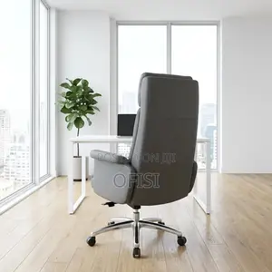 Director's Office Seat