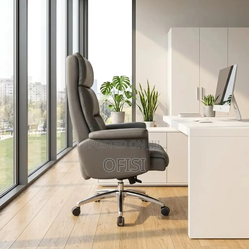 Director's Office Seat