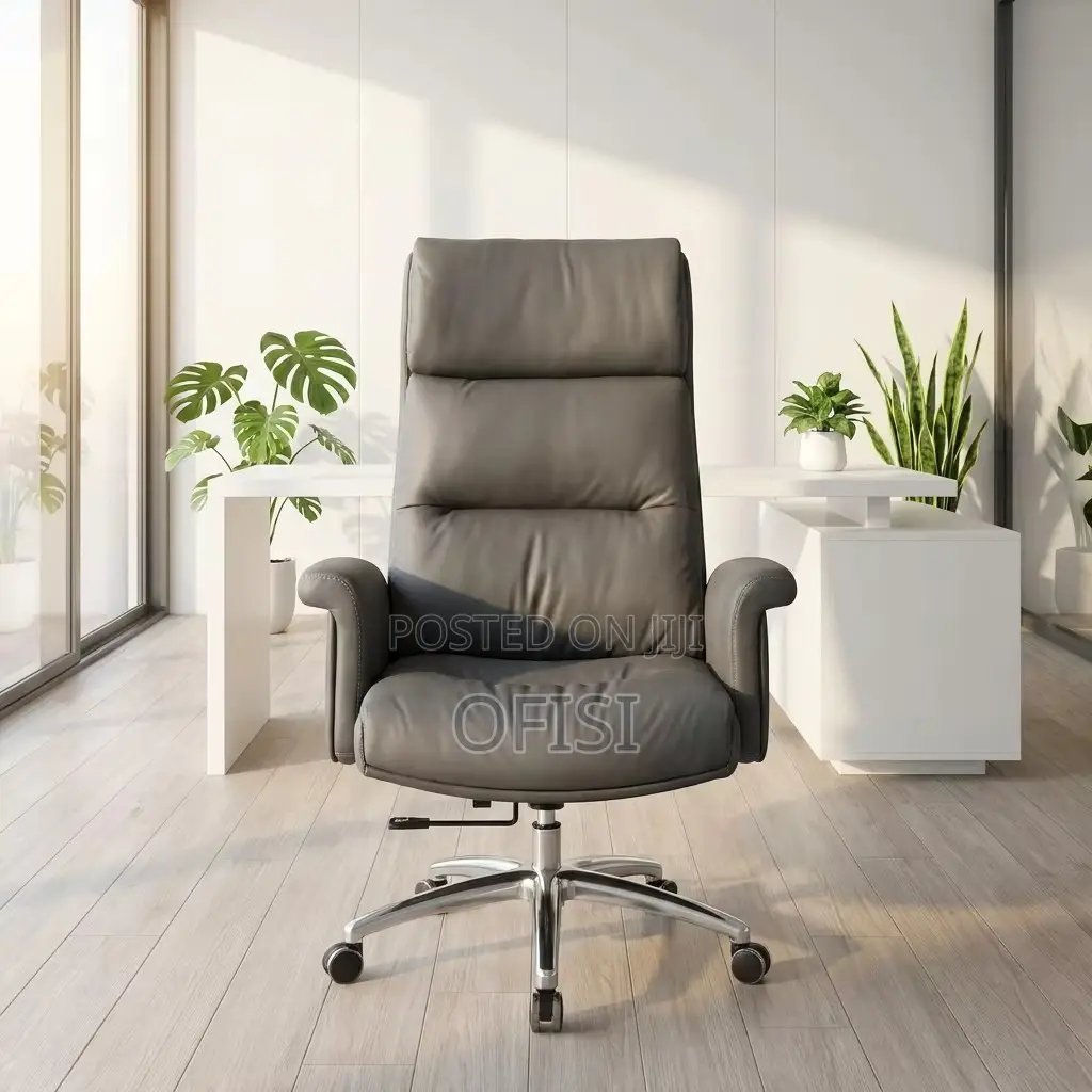 Director's Office Seat