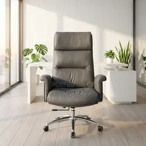 Director's Office Seat