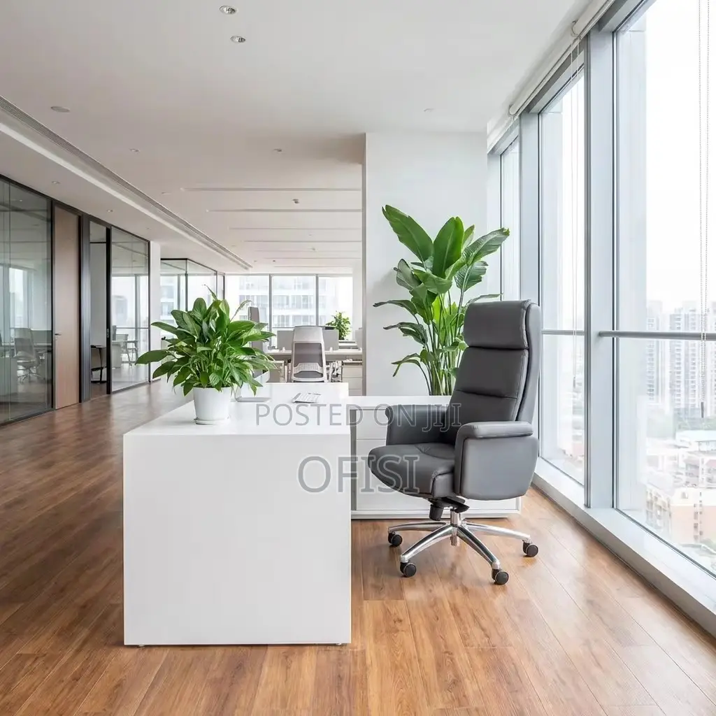 Director's Office Seat