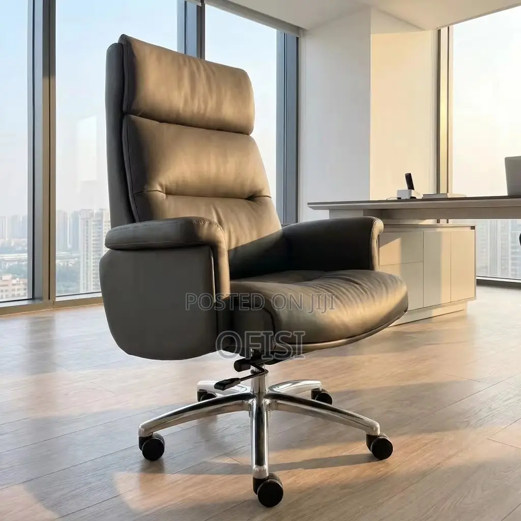 Director's Office Seat